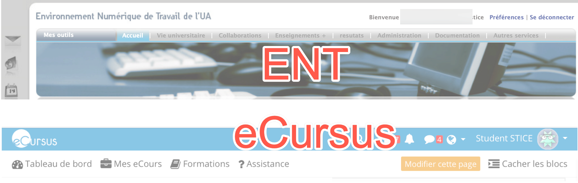 eCursus ENT